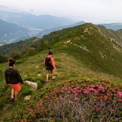 10 Colle Vaccera Monte Servin Trekking Val Pellice Piemonte