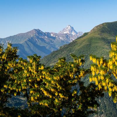 12 Colle Vaccera Monte Servin Trekking Val Pellice Piemonte