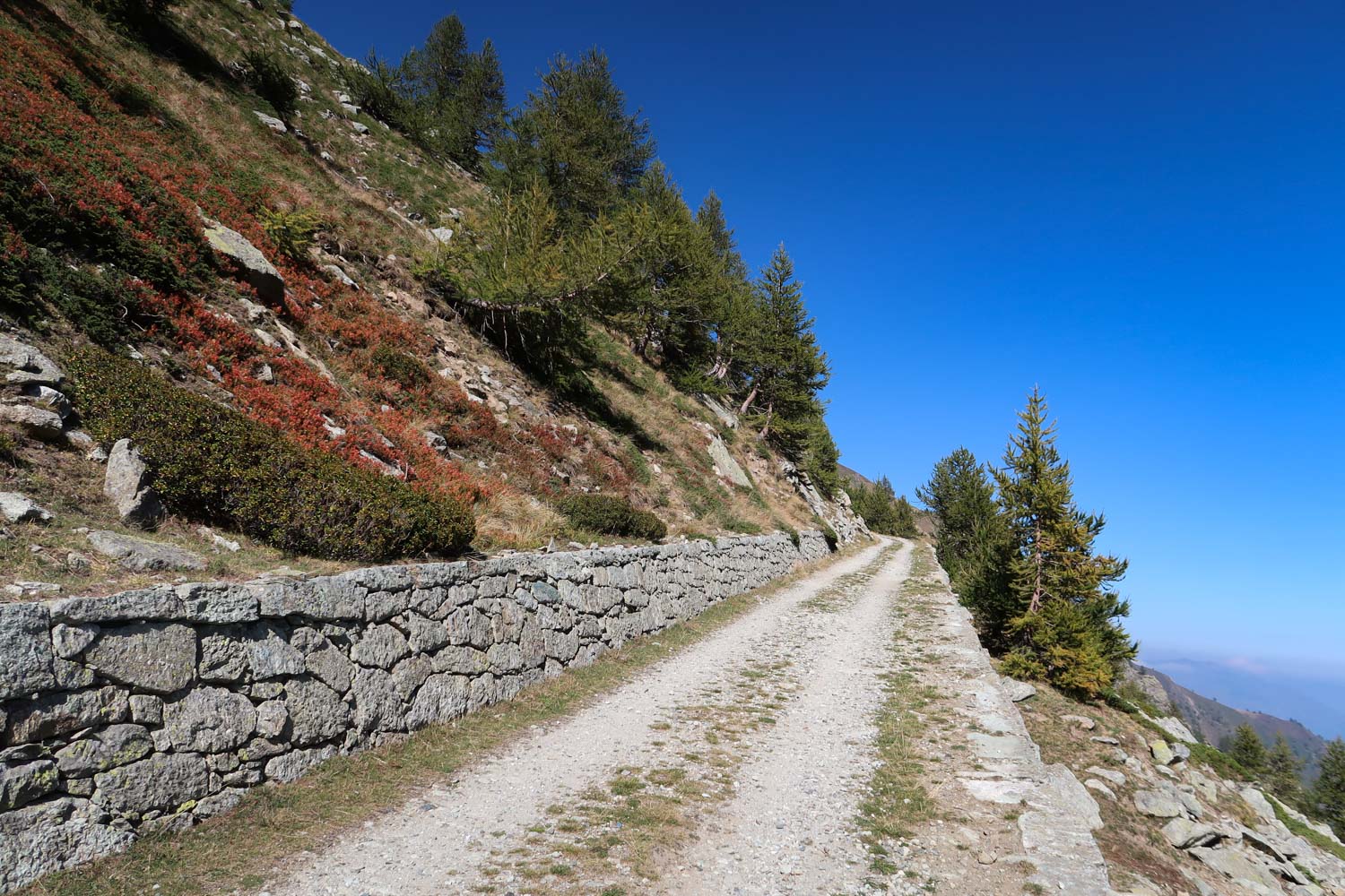 La strada militare che porta dal Barbara al Colle e Rifugio Barant in Val Pellice.