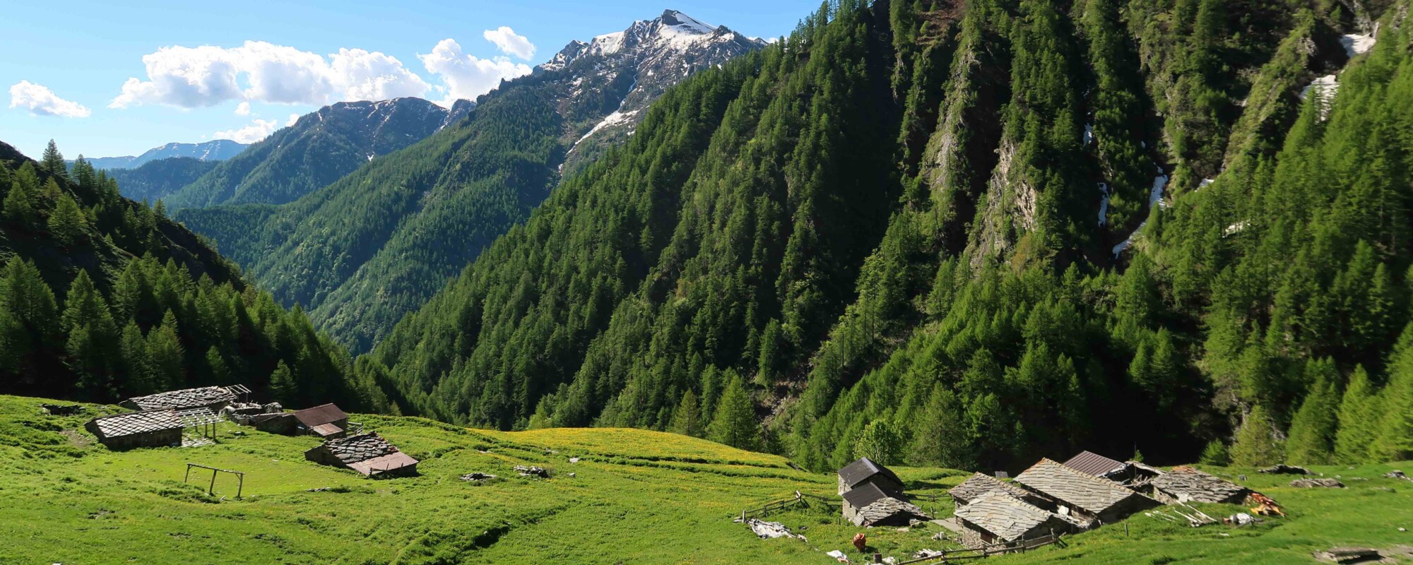 Alpe Crosenna - Val Pellice - Alpi del Piemonte